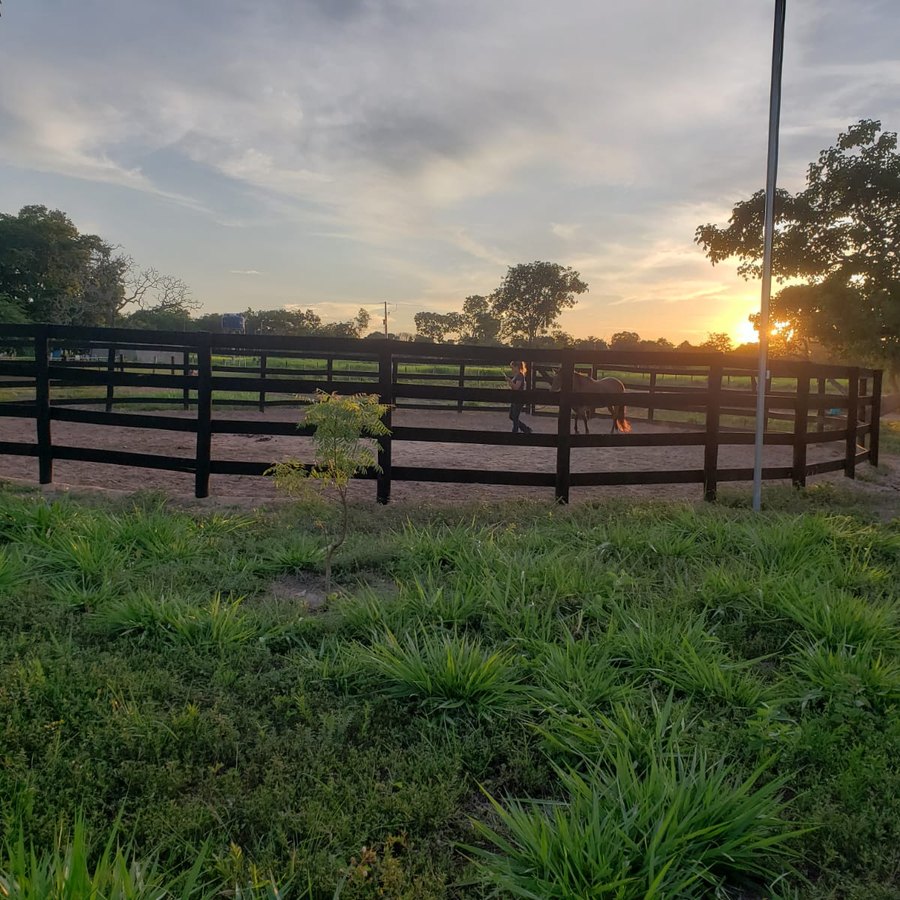 Redondel da Estância Equus ao pôr do sol