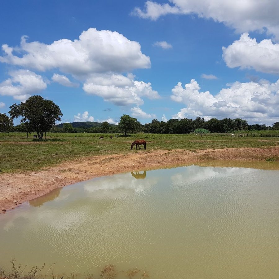 Aguada natural nos piquetes da Estância Equus